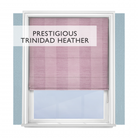 Prestigious Trinidad Heather