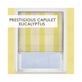 Capulet Eucalyptus