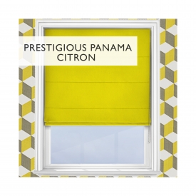 Panama Citron